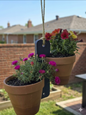 AlpineHook™ Hanging Garden - Blue