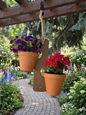 AlpineHook™ Hanging Garden - Chestnut