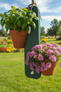 AlpineHook™ Hanging Garden - Evergreen